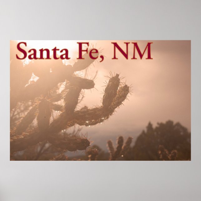 Santa Fe Serenity: Cholla Cactus at Sunset Poster (Front)