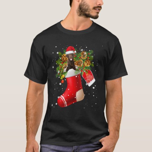 Santa Flat Coated Retriever In Christmas Sock Paja T-Shirt