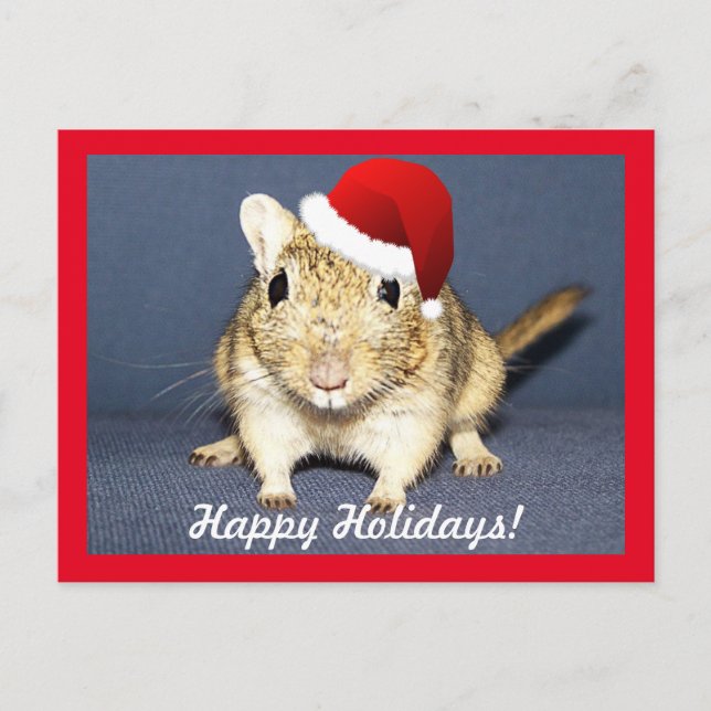 Santa Gerbil Holiday Postcard (Front)