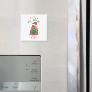 Santa Gift Giving Armadillo Texas Magnet