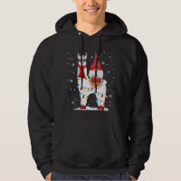 Santa Gnomes Riding Llama Reindeer Christmas Light