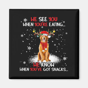 Santa Golden Retriever Reindeer Light Christmas Pa Magnet