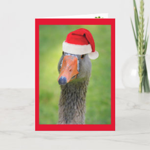 Santa Goose Funny Holiday Christmas Card