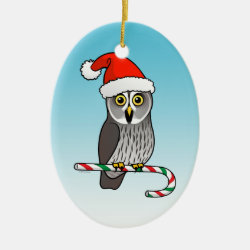Adorable Great Grey Owl as Santa Claus for Christmas