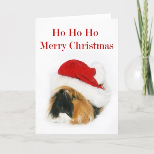 Santa Guinea Pig Holiday Card