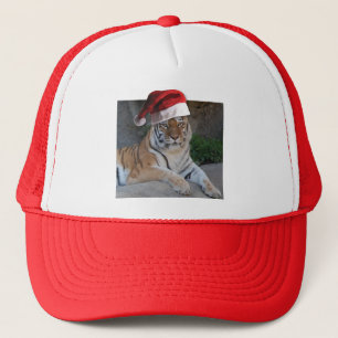 Santa Hat Bengal Tiger