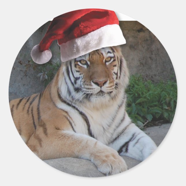 Santa Hat Bengal Tiger Classic Round Sticker (Front)