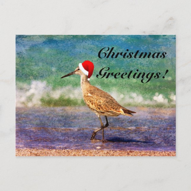 Santa Hat Bird on Tropical Beach Christmas Card (Front)