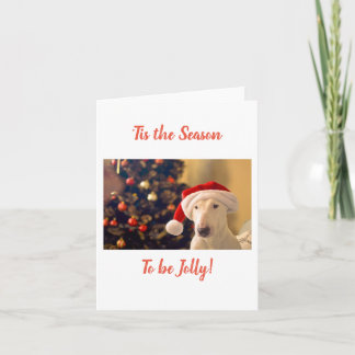 Santa Hat Bull Terrier, Tis the Season Card
