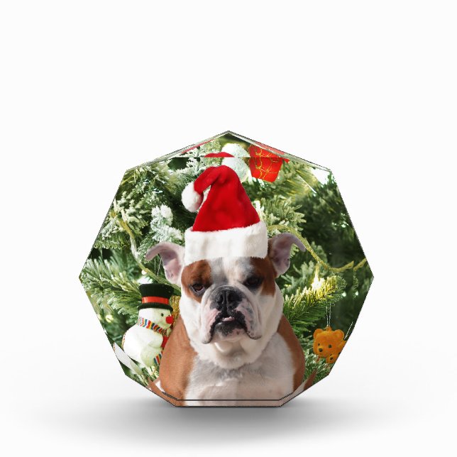 Santa Hat Bulldog Christmas Tree Snowman Gift Box (Front)