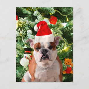 Santa Hat Bulldog Christmas Tree Snowman Gift Box Holiday Postcard