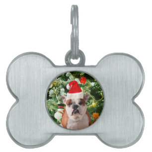 Santa Hat Bulldog Christmas Tree Snowman Gift Box Pet ID Tag
