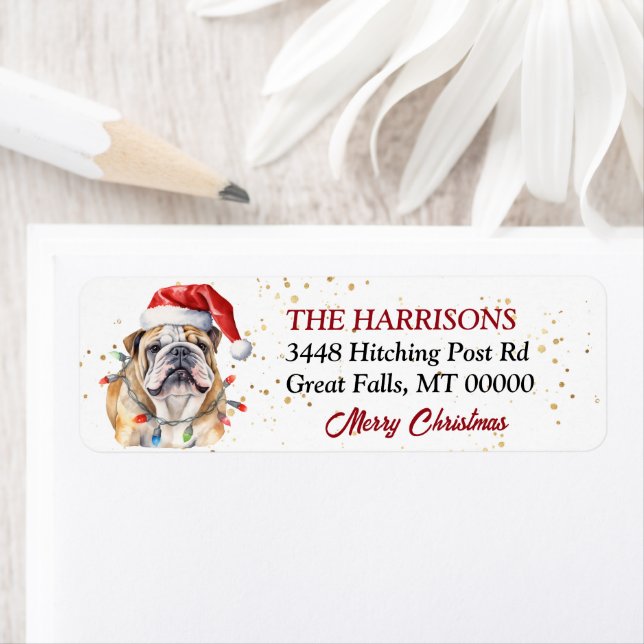 Santa Hat English Bulldog Christmas Label (Insitu)