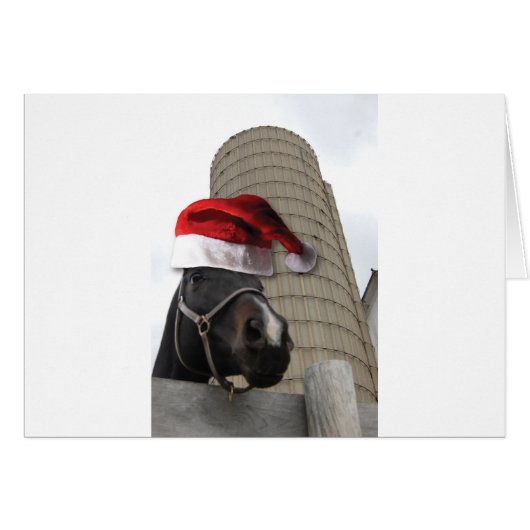 Santa Hat Horsey Cards (Front Horizontal)