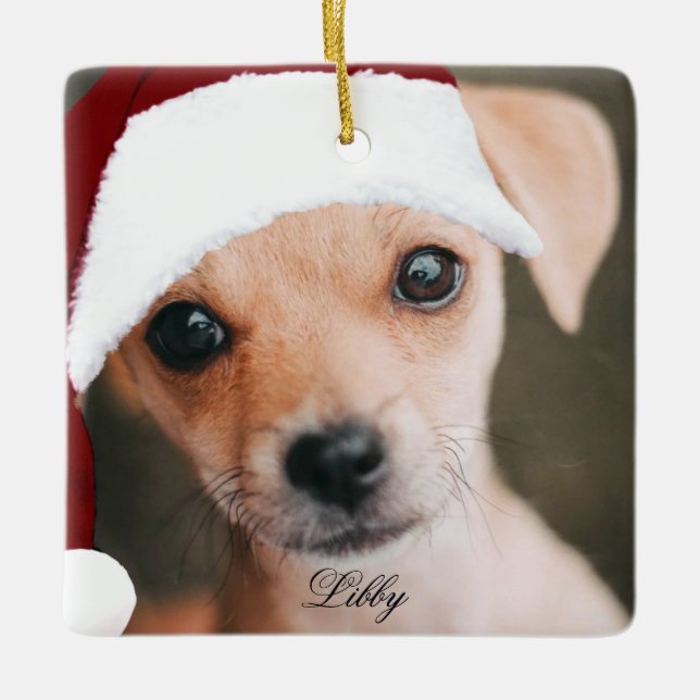 Santa hat pet photo custom personalized photo    c ceramic ornament (Front)