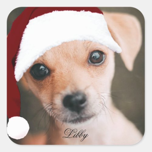 Santa hat pet photo custom personalized photo  squ square sticker