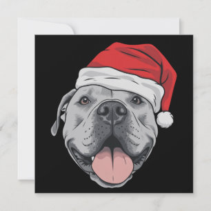 Santa Hat Pitbull Pit Christmas Xmas Pet Dog Lover Holiday Card