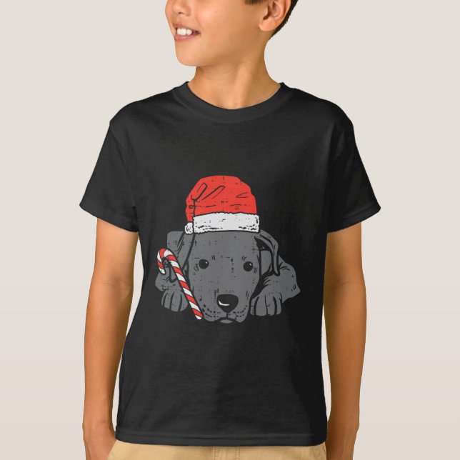 Santa hat pitbull pit dog christmas xmas women kid T-Shirt (Front)