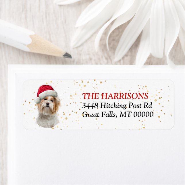 Santa Hat Shih Tzu Dog Return Address Label (Insitu)