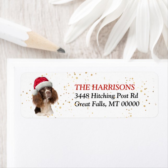 Santa Hat Springer Spaniel Return Address Label (Insitu)