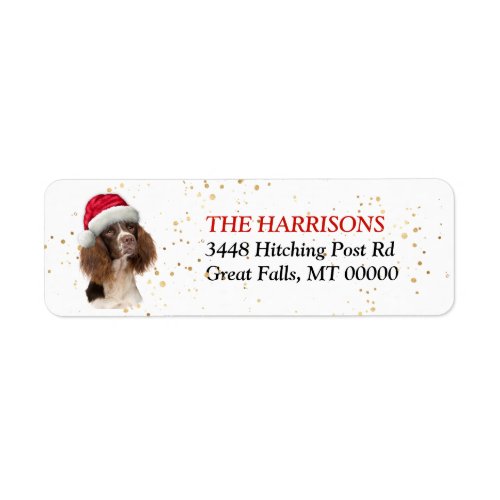 Santa Hat Springer Spaniel Return Address Label