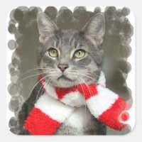 Santa Helper Cat Sticker