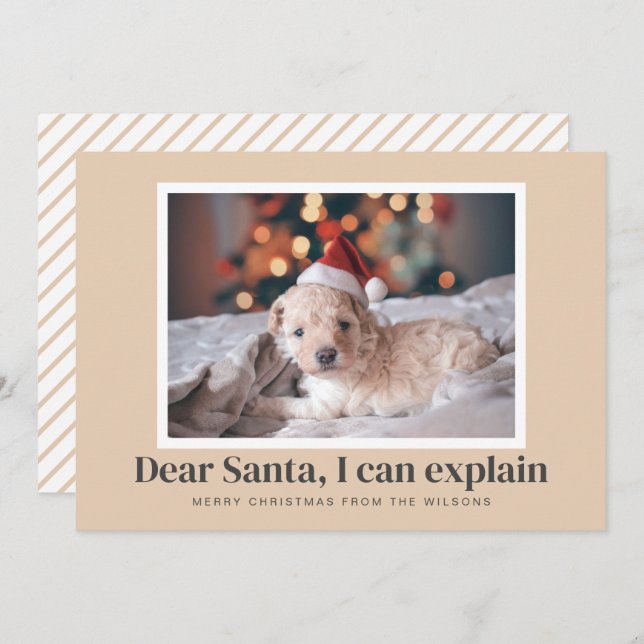 Santa, I Can Explain Funny Pet Photo  Holiday Card (Front/Back)