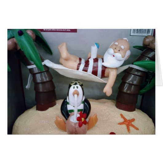 ***SANTA IN HAMMOCK*** SAYS MERRY CHRISTMAS (Front Horizontal)