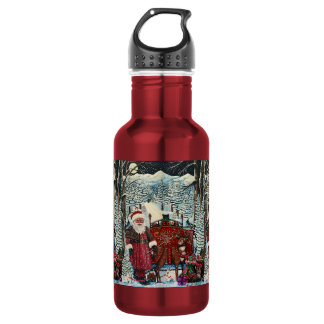 Santa is ready for Launch Candle Stainless Steel Water Bottle