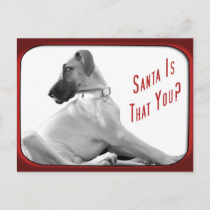 Santa is that you holiday postcard