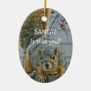 "SANTA, IS THAT YOU?" WIDE- EYED SQUIRREL ORNAMEN CERAMIC ORNAMENT