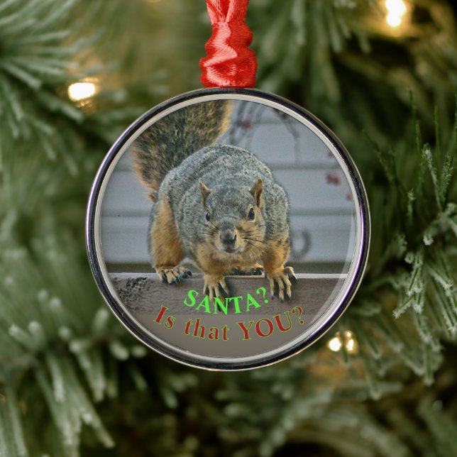"SANTA, IS THAT YOU?"  WIDE- EYED SQUIRREL ORNAMEN METAL ORNAMENT (Tree)