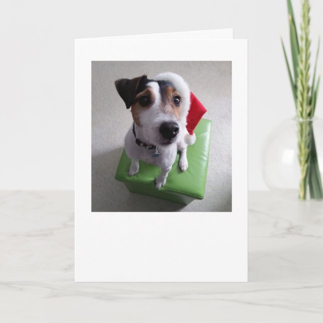 Santa Jack Russell Terrier Christmas Card (Front)