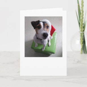 Santa Jack Russell Terrier Christmas Card