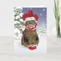 Santa Jester Cat Christmas Cards