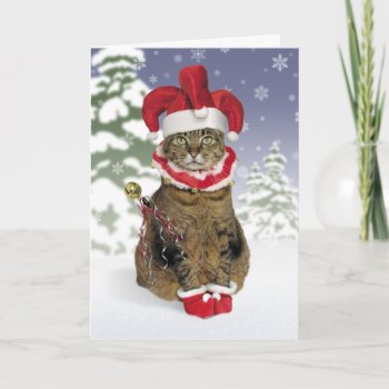 Santa Jester Cat Christmas Cards by lamessegee at Zazzle