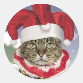 Santa Jester Cat Christmas Stickers by lamessegee at Zazzle