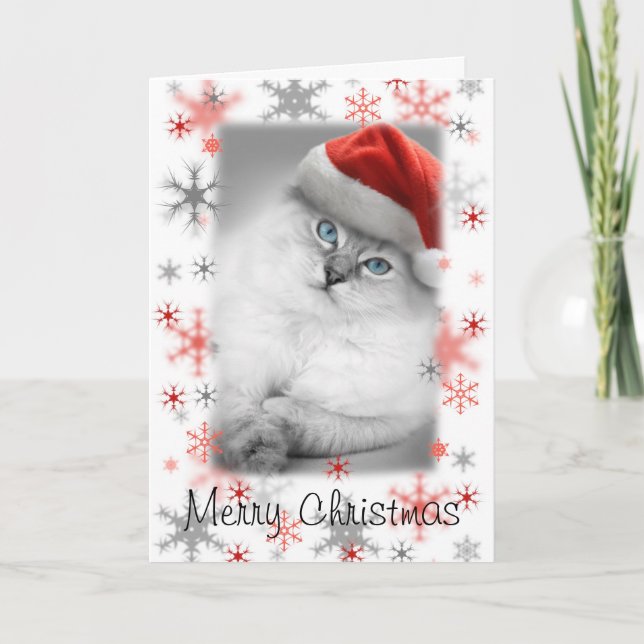 santa kitty christmas card (Front)