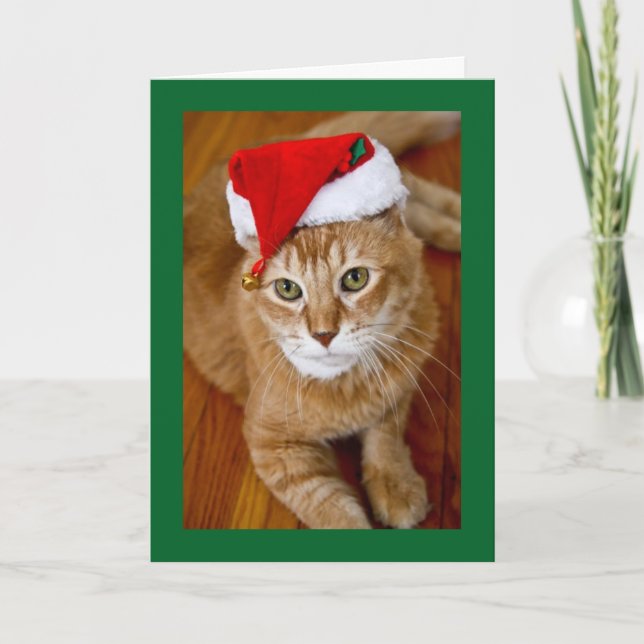 Santa Kitty Christmas Card (Front)