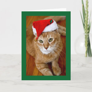 Santa Kitty Christmas Card