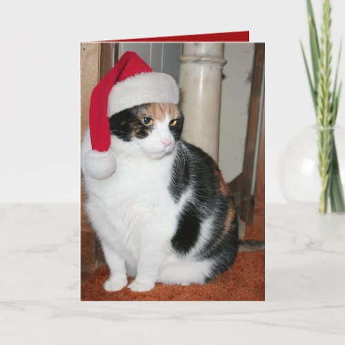 Santa Kitty Christmas card for cat lover