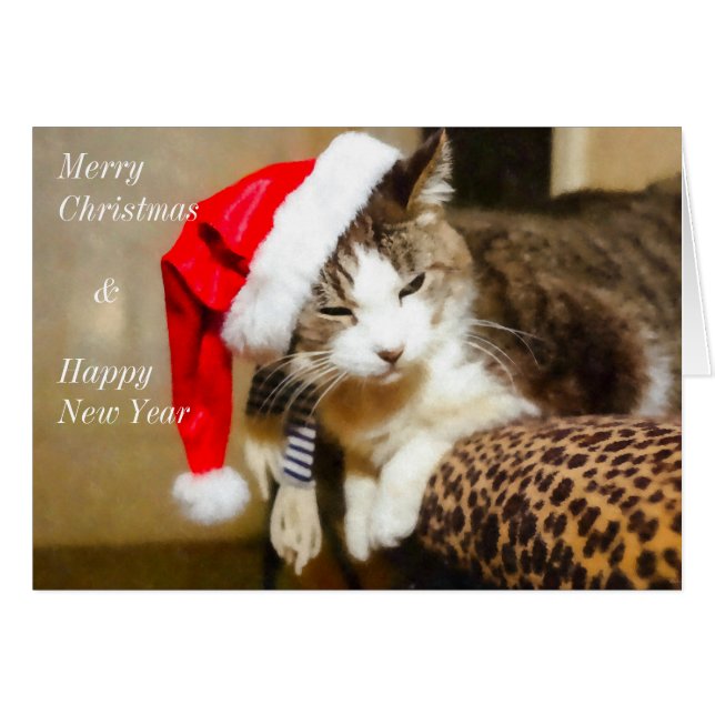 Santa Kitty Painterly Cards (Front Horizontal)