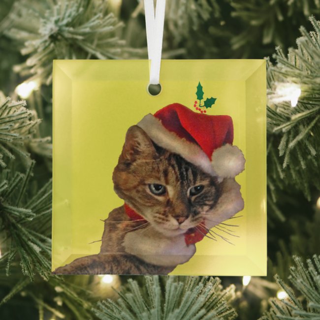 Santa Kitty with Holly Beveled Glass Ornament