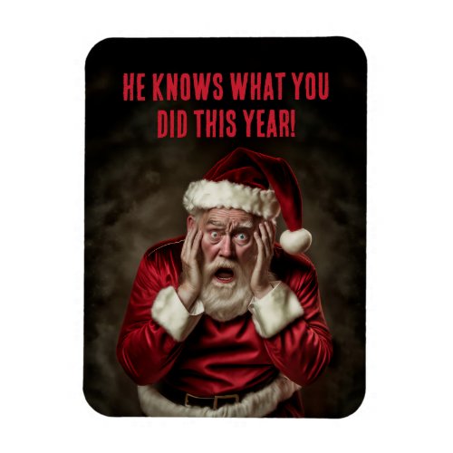 Santa Knows What You Did This Year Funny Christmas Magnet