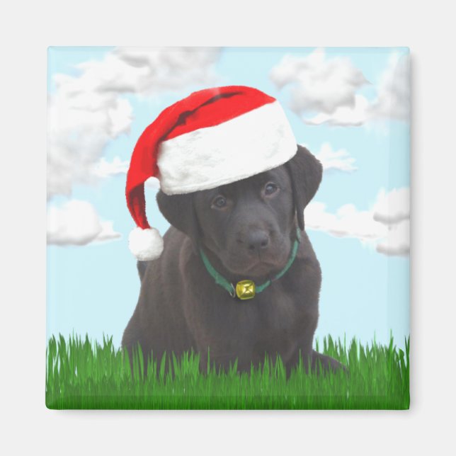 Santa Lab Magnet (Front)