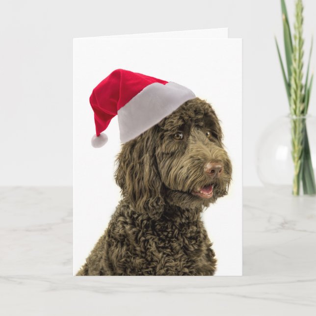 Santa Labradoodle Christmas Card (Front)