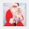 Santa Loves Dogs