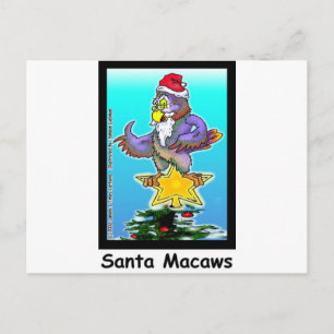 Santa Macaws Funny Christmas Gifts & Tees Holiday Postcard