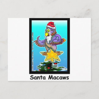 Santa Macaws Funny Christmas Gifts & Tees Holiday Postcard