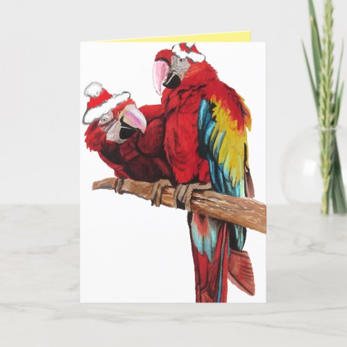 Santa Macaws Red Parrot Christmas Card